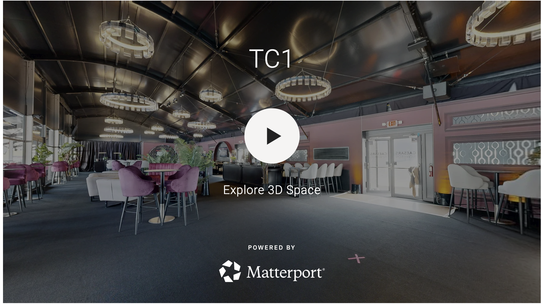 Screenshot 2026-02-19 at 4.41.37 pm