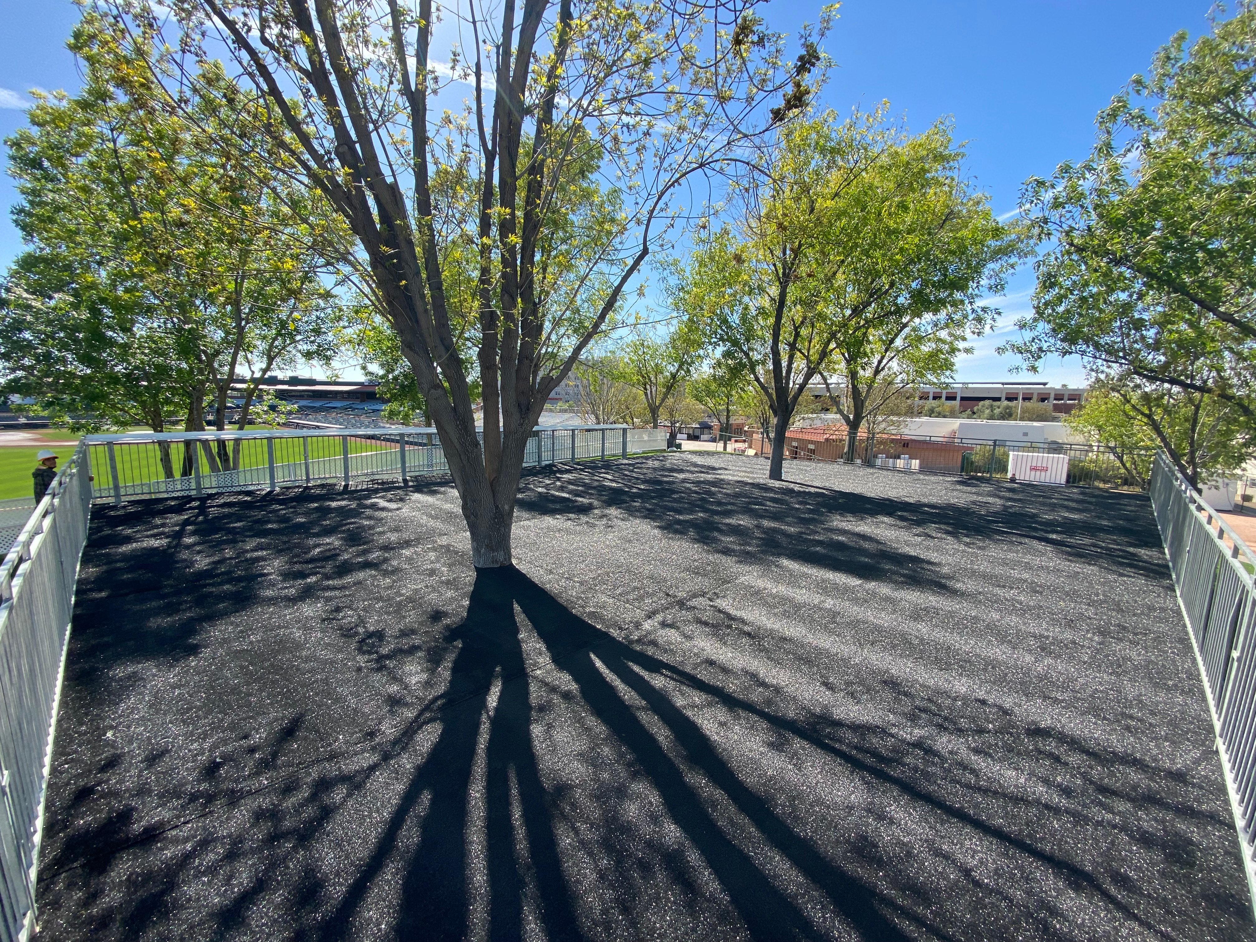 Spring Giants Training 1 of 2